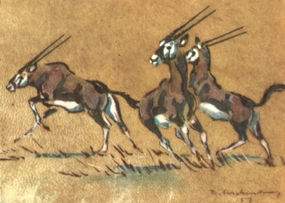 Bild Drei flüchtende Oryx von Uli Aschenborn
